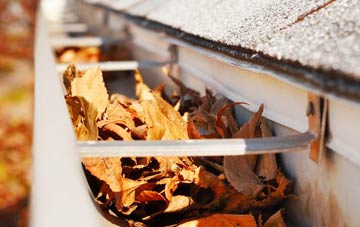 Ranmore Common gutter cleaning companies