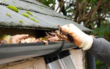 gutter cleaning Ranmore Common, Surrey