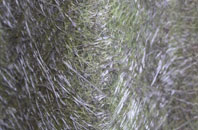 Ranmore Common fibreglass roof work