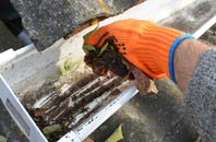 rated Ranmore Common gutter cleaning companies