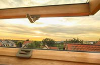 rated Ranmore Common roof window companies