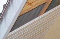rated Ranmore Common soffit repair companies
